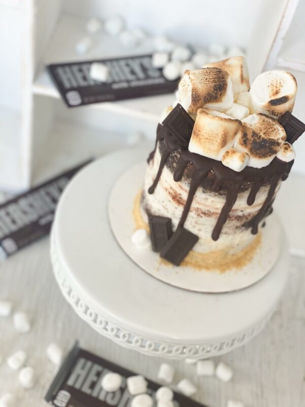 S'mores Campfire Cake